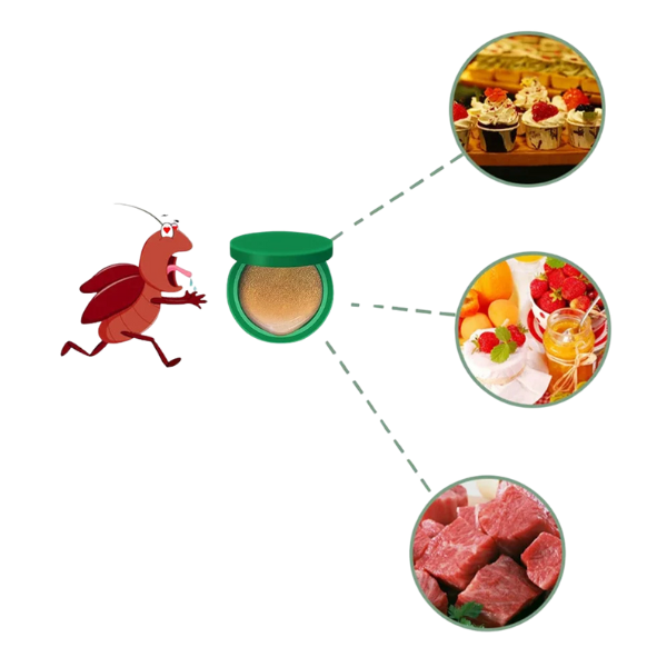 Piège à cafards et souri pour la maison et la cuisine – Lot de 12 pièces