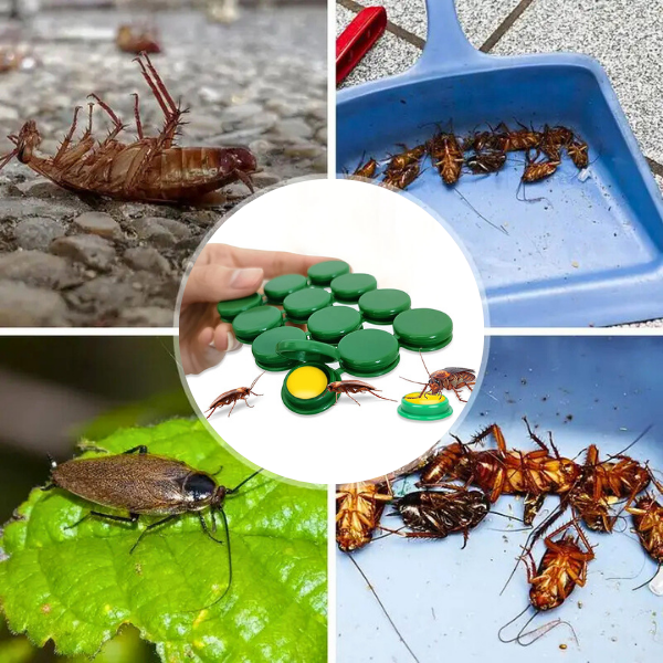 Piège à cafards et souri pour la maison et la cuisine – Lot de 12 pièces